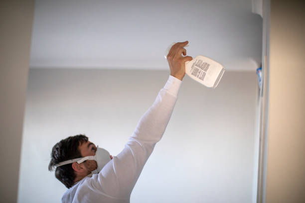 Best Kitchen Mold Remediation in West Belmar, NJ