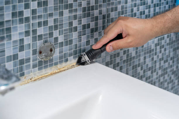 Best Basement Mold Remediation in West Belmar, NJ